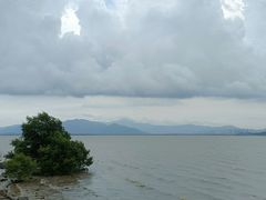 -深圳湾公园(南山区)