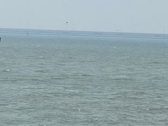 -东疆建设开发纪念公园