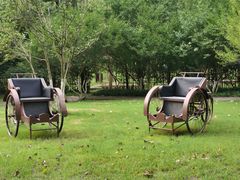 -合肥滨湖国家森林公园