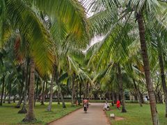 -白沙门生态公园