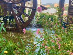-慢丽江·云南野生菌土鸡锅(付家庄店)