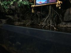 -台州海洋世界