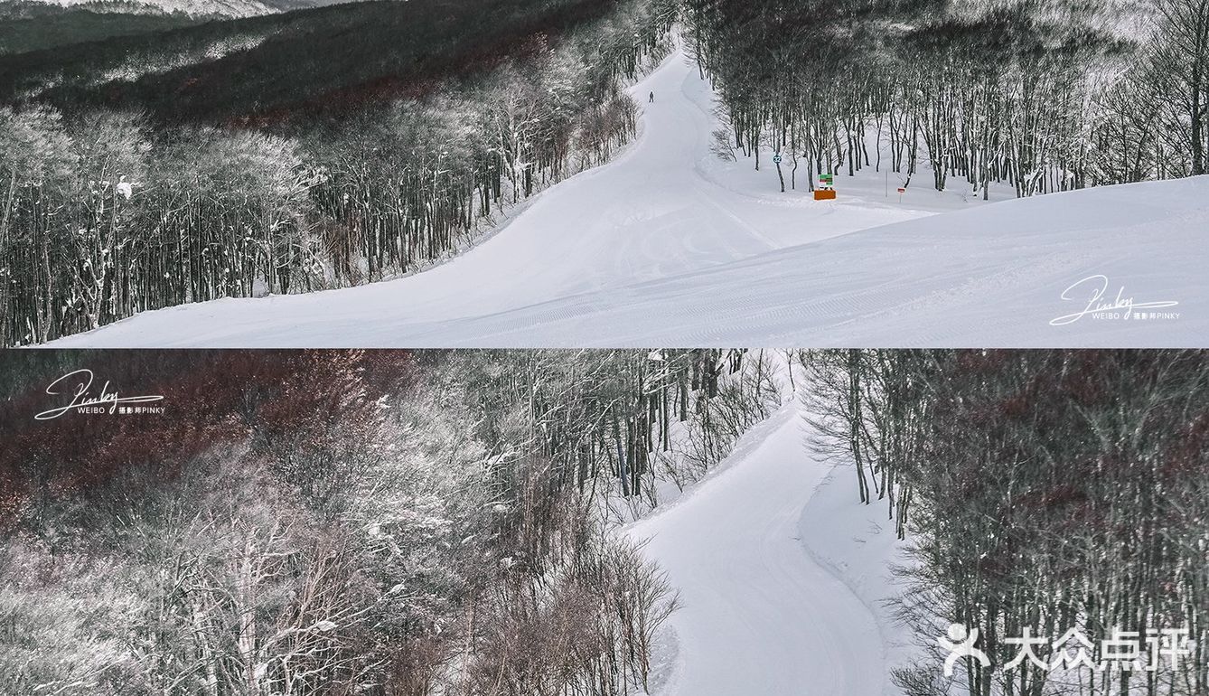 日本青森 | 比北海道更近的青森春天滑雪场