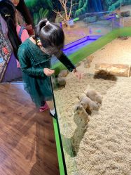 -未来动物城动物主题公园(大悦城店)