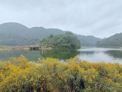 -广州市石门国家森林公园