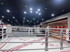 -臻元搏击格斗泰拳拳馆(港隆店)