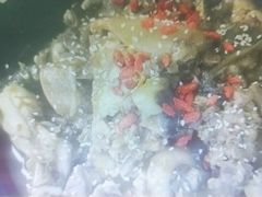 -大圣甲(汉口店)