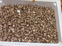 -江杨农产品批发市场