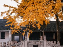 -西园戒幢律寺