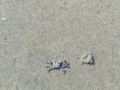 -青岛银沙滩