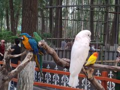 -北京野生动物园