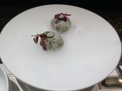 -觀芷隐轩