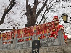 -大槐树寻根祭祖园