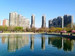 iphone_upload_pic-泰丰公园