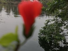 -三岔湖景区