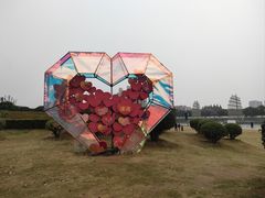 -沙澧河风景区