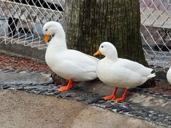 -珠海海泉湾神秘岛亲子乐园