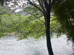 -温州永嘉书院