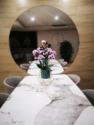 -酉嘉瑜伽YO+YOGA