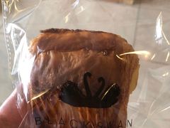 -BLACKSWAN黑天鹅(环球店)