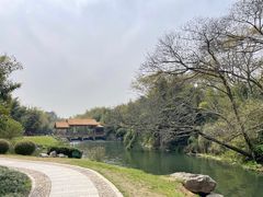 -杭州植物园
