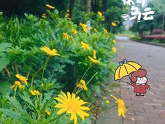 -重庆彩云湖湿地公园