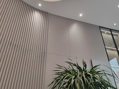 -桐乡植物园