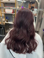 -SY COLOUR专业烫染