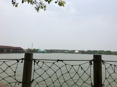 -上海都市菜园
