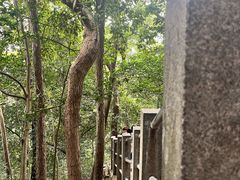 -灵顺寺