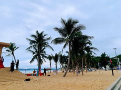 -玫瑰海岸文化旅游度假区