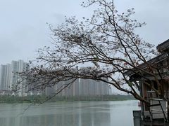 -大小河街