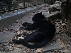 -杭州动物园
