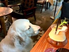 -咖法森林·咖啡  酒吧(天河店)