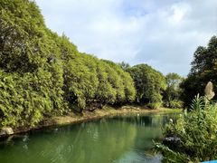 -贡湖湾湿地公园