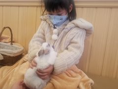 -猫猫幼稚园·撸猫·桌游·电玩