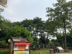 -晓港公园