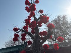 -南城香·饭香串香馄饨香(青年路店)
