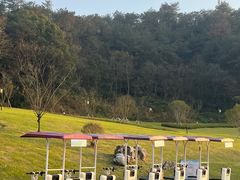 -东钱湖小普陀景区