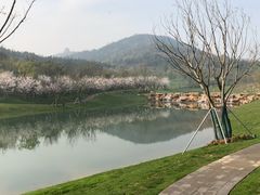 -苏州清山会议中心