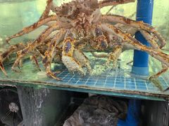 -锦里海景海鲜餐厅.三亚老字号(亚龙湾中心广场店)