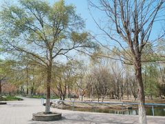 -长白岛森林公园