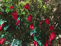 -南山饭店(阳明古镇店)