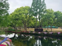 -苏州上方山国家森林公园