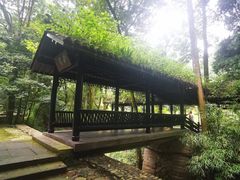 -石门洞景区