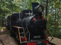 -五营红松林海景区