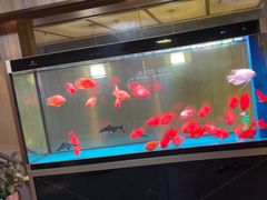 -臻享养生·SPA·影院式足道(汇臻店)
