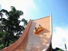 -重庆海昌加勒比海水世界