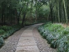 -兰亭风景区