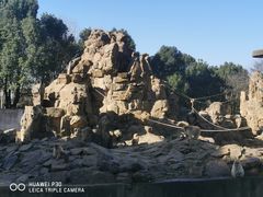 -合肥野生动物园
